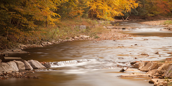 Autumn Hues